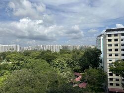Blk 407 Sun Plaza Green (Tampines), HDB 3 Rooms #513490251